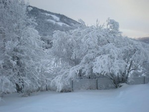11 december 2010 012