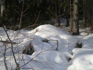 6 maart 2011 002