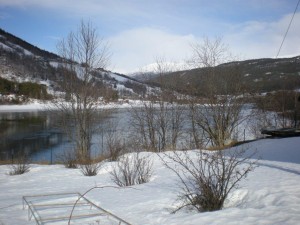 DSCN0041