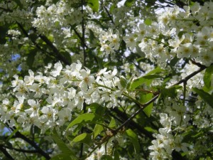 DSCN0795