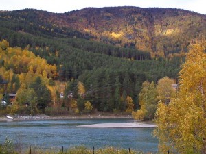 IMG_0589