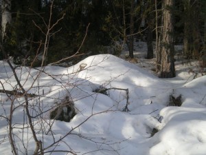 6-maart-2011-002-300x225